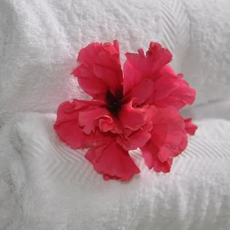 Vila Violeta Saranda