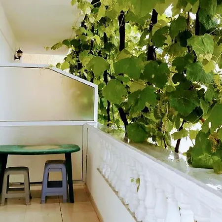 Appartement Vila Violeta *