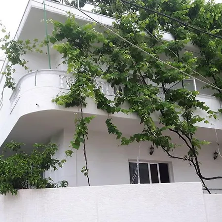 Vila Violeta